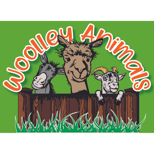 Business Club 2024 - Woolley Animals