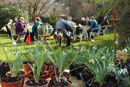 Snowdrop sunday