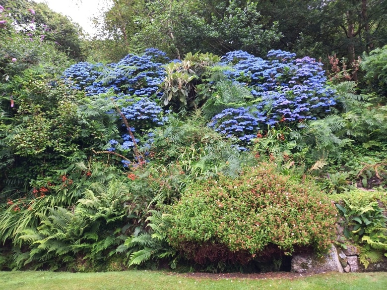 Treglyn garden