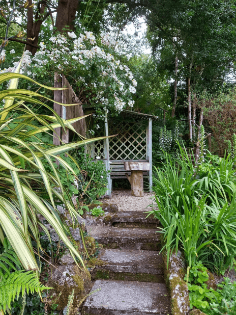 Treglyn garden