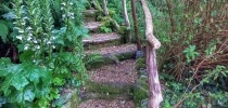 Treglyn garden thumbnail