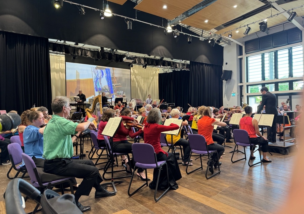 The New Bristol Sinfonia Orchestra 