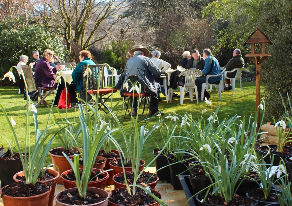 Snowdrop sunday